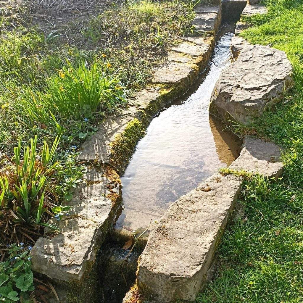 Beratung qu Psychotherapie-Beratung-Wasser